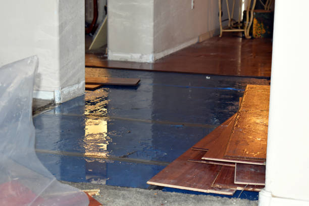 Professional Basement Water Removal technician working in Newton, KS