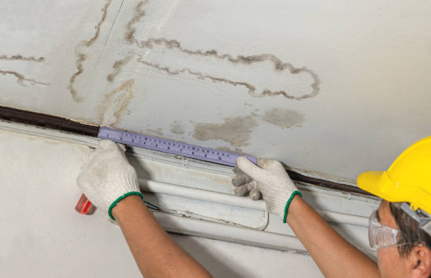Reliable Basement Water Removal contractor in Newton, KS by Water Damage Irwin